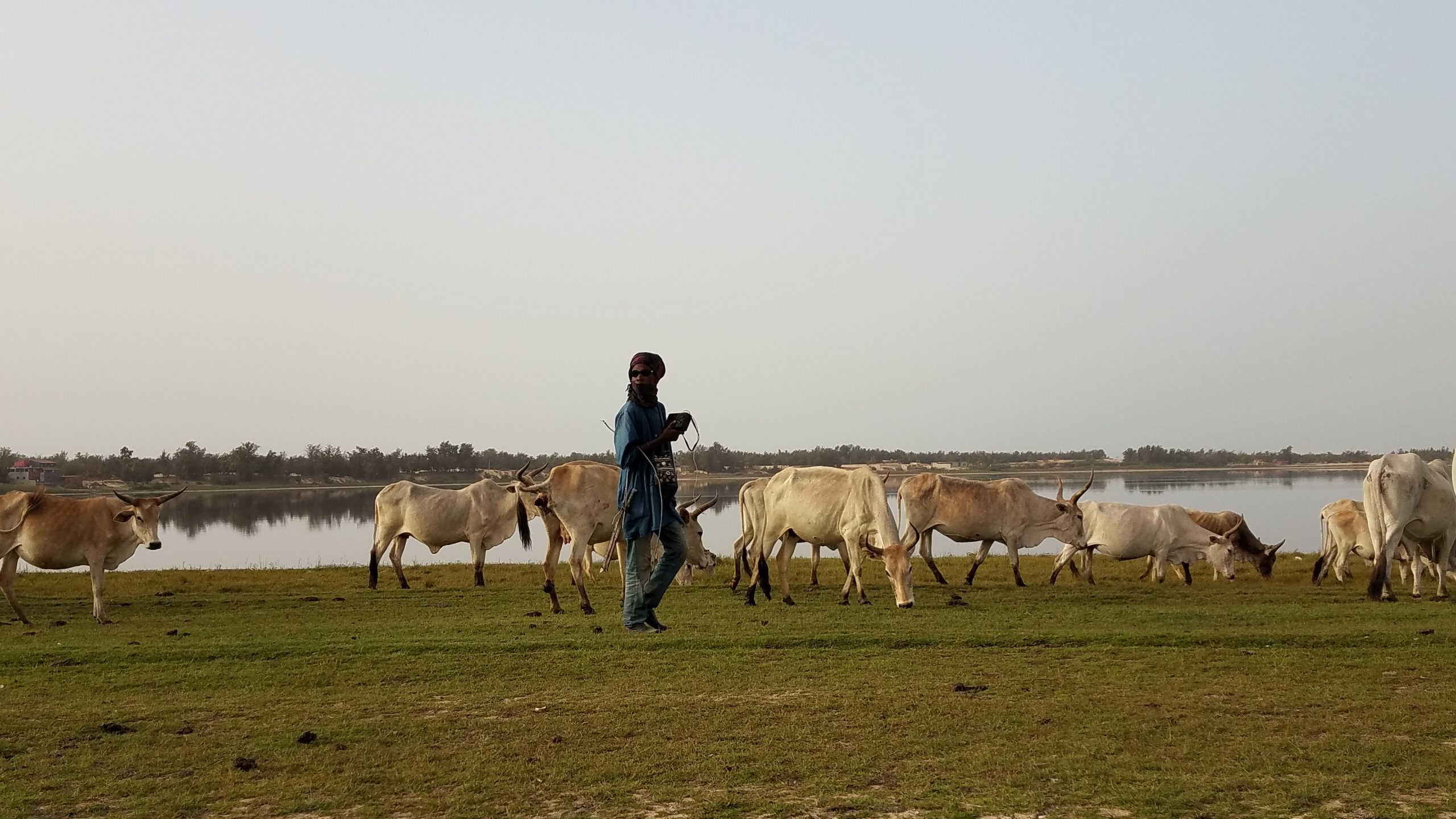 A Data-Driven Platform Supporting Pastoralism in the Sahel Region